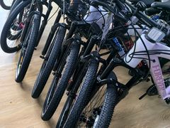 -永久自行车旗舰店(上海No.001店)