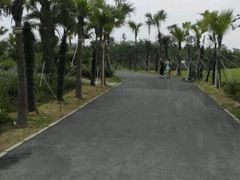 android_upload_pic-瑶湖郊野森林公园