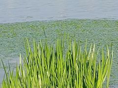 -长春市南湖公园