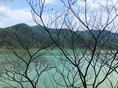 -羚羊峡古栈道森林公园