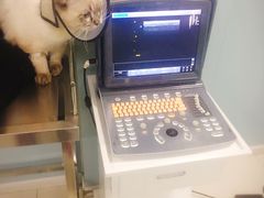 -中农大我爱我爱24h动物医院·中医针灸·猫专科·骨科医疗中心(双井店)