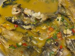 -后湖小院·乡野田园菜