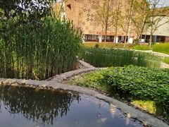 -活水公园