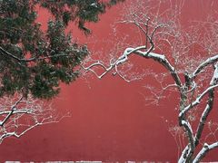 -北京市劳动人民文化宫(太庙)
