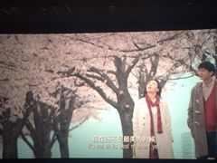 -南宁时代电影大世界(CGS激光中国巨幕)
