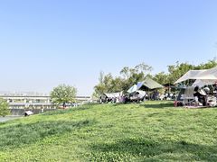 -灞河西岸滨河公园