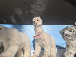 -IMON·HANSA潮玩玩偶毛绒玩具(通州万象汇店)