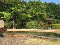 -汕头莲花山度假村温泉