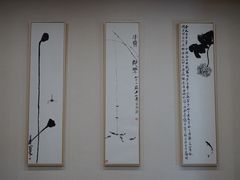 -中国宋庆龄青少年科技文化交流中心