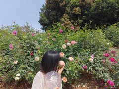 -人民公园(罗湖区)