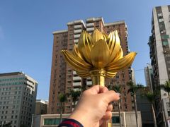 -金莲花广场