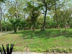 -东园小馆·早茶·淮扬小炒(宋夹城店)