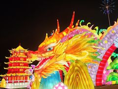 -武汉园博园(武汉自然博物馆)