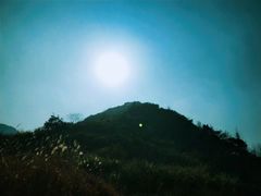 -四明山国家森林公园