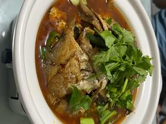 -军子大排档(迎春花园店)