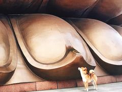 -龙口南山旅游景区