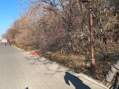 -长春市南湖公园