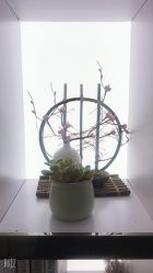-京世沙龙