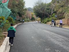 -福道
