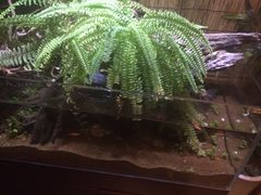 -Together·泰式按摩精油SPA(天山店)