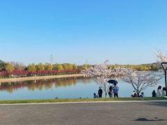 -羊山湖公园