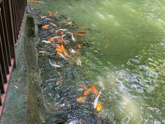 -珠海圆明新园