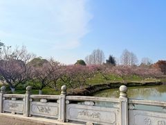 -上海海湾国家森林公园