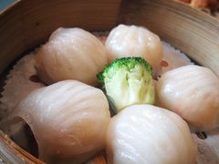 -金苑海鲜酒家(来魅力店)