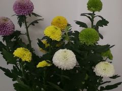 -盛福小关菜市场