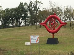 -白鹭湾湿地公园