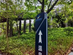 -森波拉火山温泉