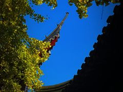 -西园戒幢律寺