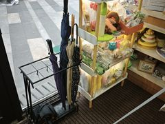 -爱妮康宠物医院·干细胞免疫细胞·肿瘤·心脏(张江店)