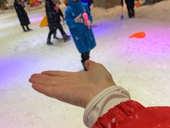 -宁波冰雪大世界(北仑区)