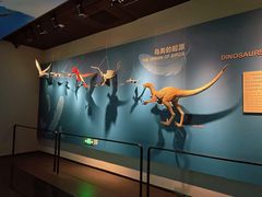 -自贡恐龙博物馆