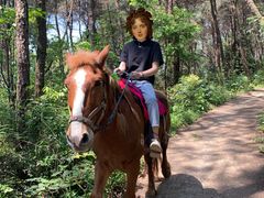 -铁山坪森林公园