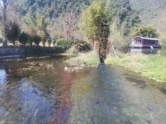 -靖西鹅泉风景区