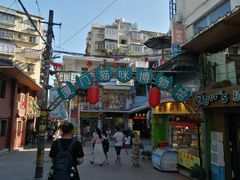 -猫咪博物馆(顶澳仔猫街店)