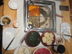 -颐辰舍岁岁羊(文昌万达景园店)