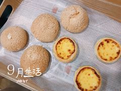 -福晶园益生菌蛋糕面包(紫荆山店)
