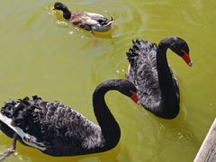 -蓝地时尚庄园(北京清河营地铁站店)