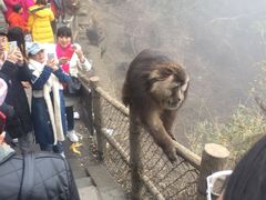-峨嵋山金顶