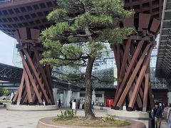 -金泽21世纪美术馆