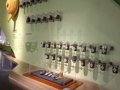 -广东科学中心