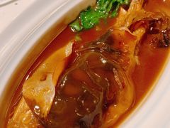 红烧河豚鱼-九朝会昆曲·宴(望京店)