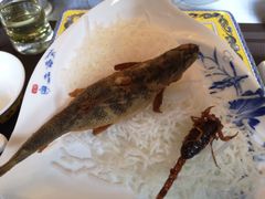 -神憩宾馆-餐厅