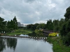 -洋湖国家湿地公园