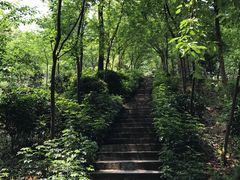 -广州市帽峰山景区