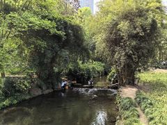 -重庆彩云湖湿地公园