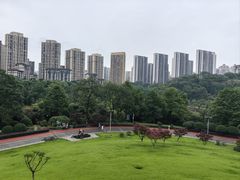 -龙头寺公园